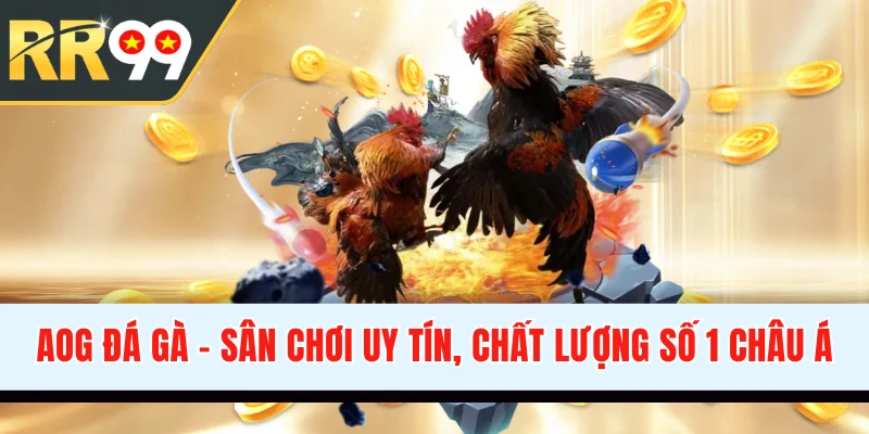 AOG Đá Gà - Sân Chơi Chọi Kê Uy Tín, Chất Lượng Số 1 Châu Á