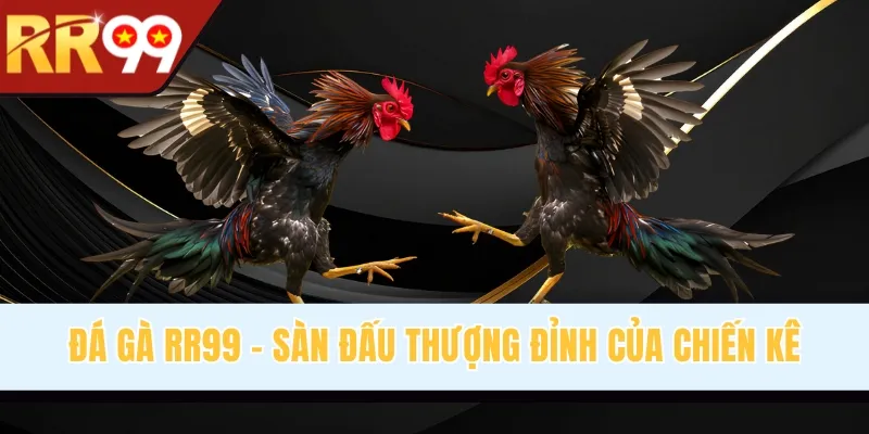 Đá Gà RR99 - Sàn Đấu Thượng Đỉnh Của Chiến Kê Chuyên Nghiệp