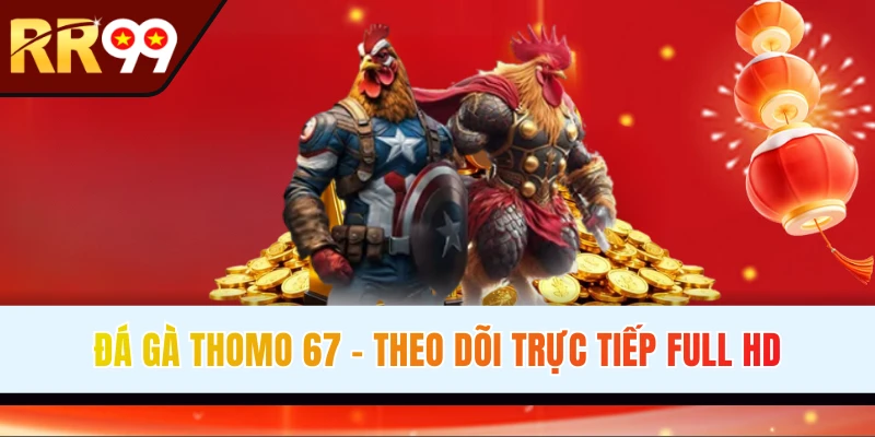 Đá Gà Thomo 67 - Trực Tiếp Chọi Kê Kịch Tính Hôm Nay