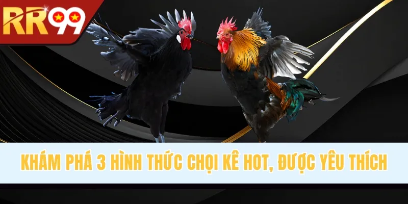 Khám phá 3 hình thức chọi kê hot, được yêu thích