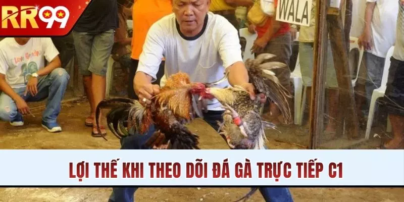 Lợi thế khi theo dõi đá gà trực tiếp C1
