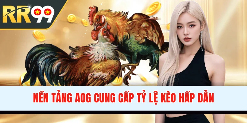 Nền tảng AOG cung cấp tỷ lệ kèo hấp dẫn