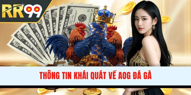 Thông tin khái quát về AOG đá gà