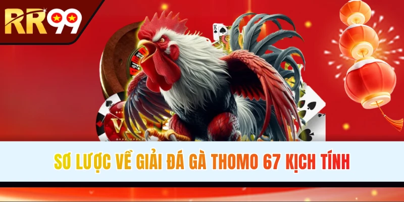 Tìm hiểu thông tin đá gà Thomo 67